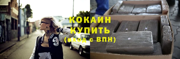 прущие грибы Покачи