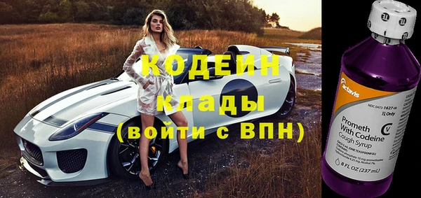 гашик Абаза