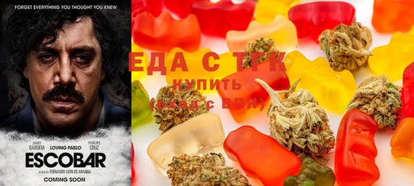 гашик Абаза