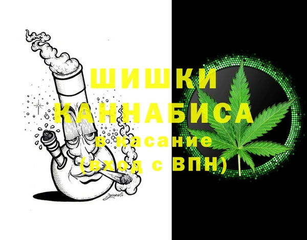 прущие грибы Покровск