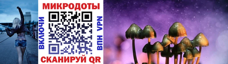 сколько стоит  Азов  Галлюциногенные грибы Psilocybe 
